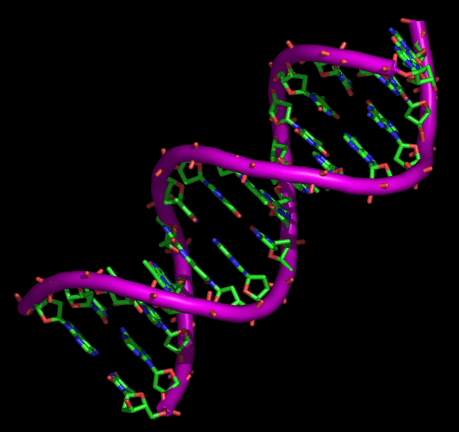 doble cadena de ADN